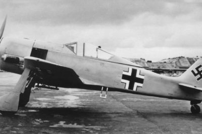 Focke-Wulf Fw.190 A-3/Trop W.Nr 511