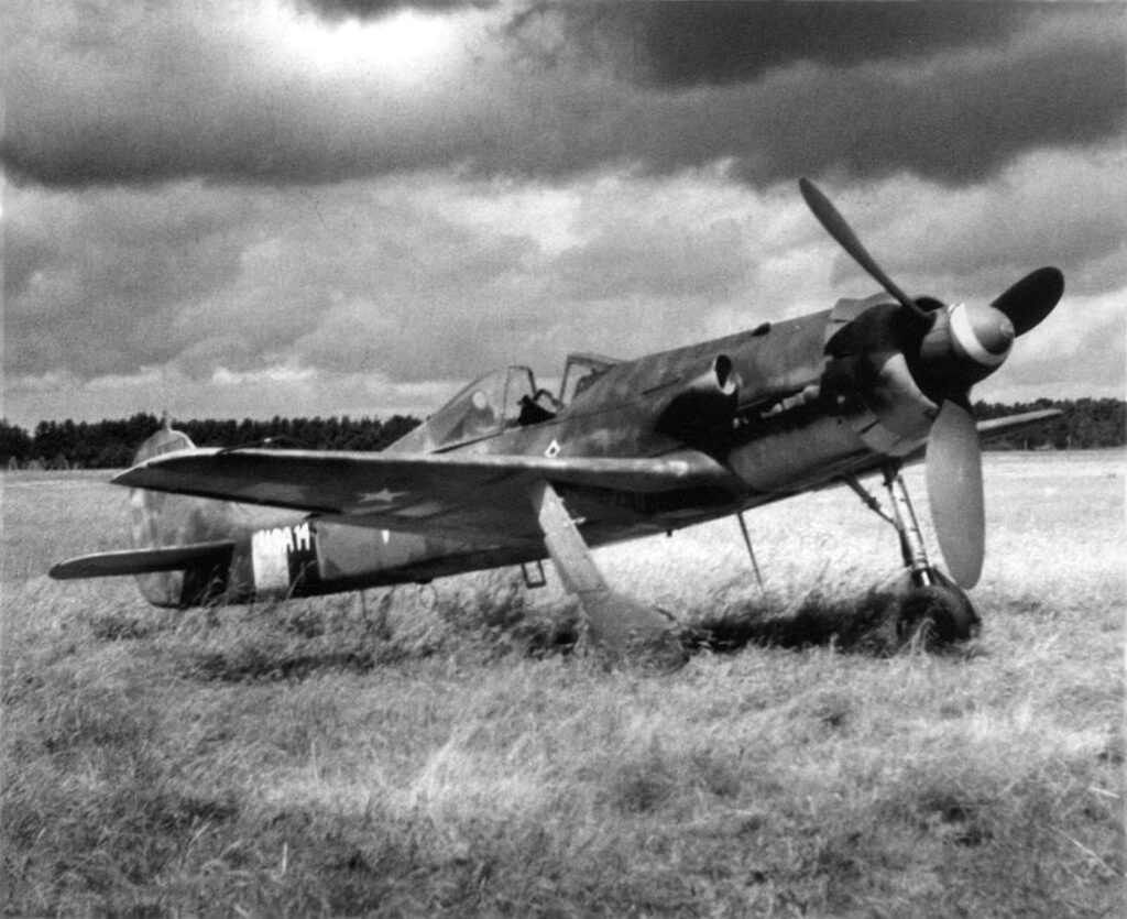 Focke-Wulf Fw.190 D-13 W.Nr 836017 “Желтая 10/USA 14”, Gilze-Rijen, 1945 год